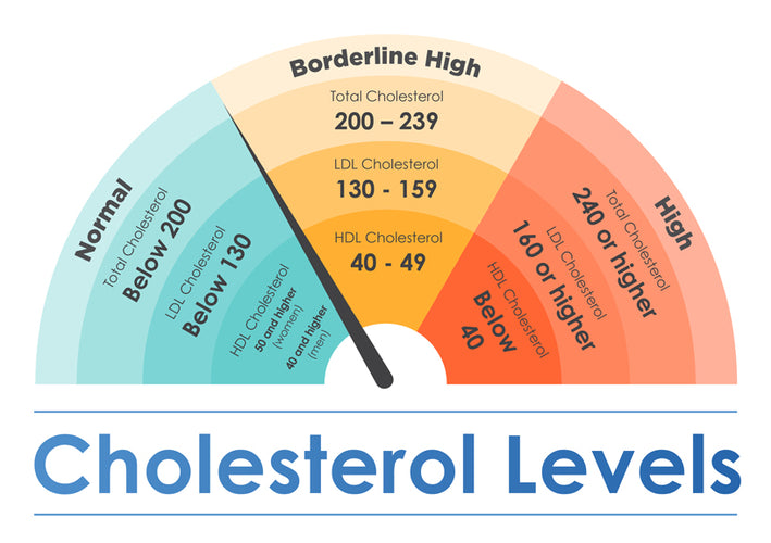 What Your Cholesterol Levels Say about Your Cardiovascular Health