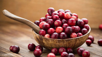 Harnessing the Power of Cranberries and Lactobacillus to Combat UTIs