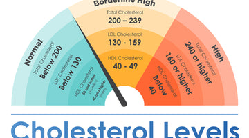 What Your Cholesterol Levels Say about Your Cardiovascular Health
