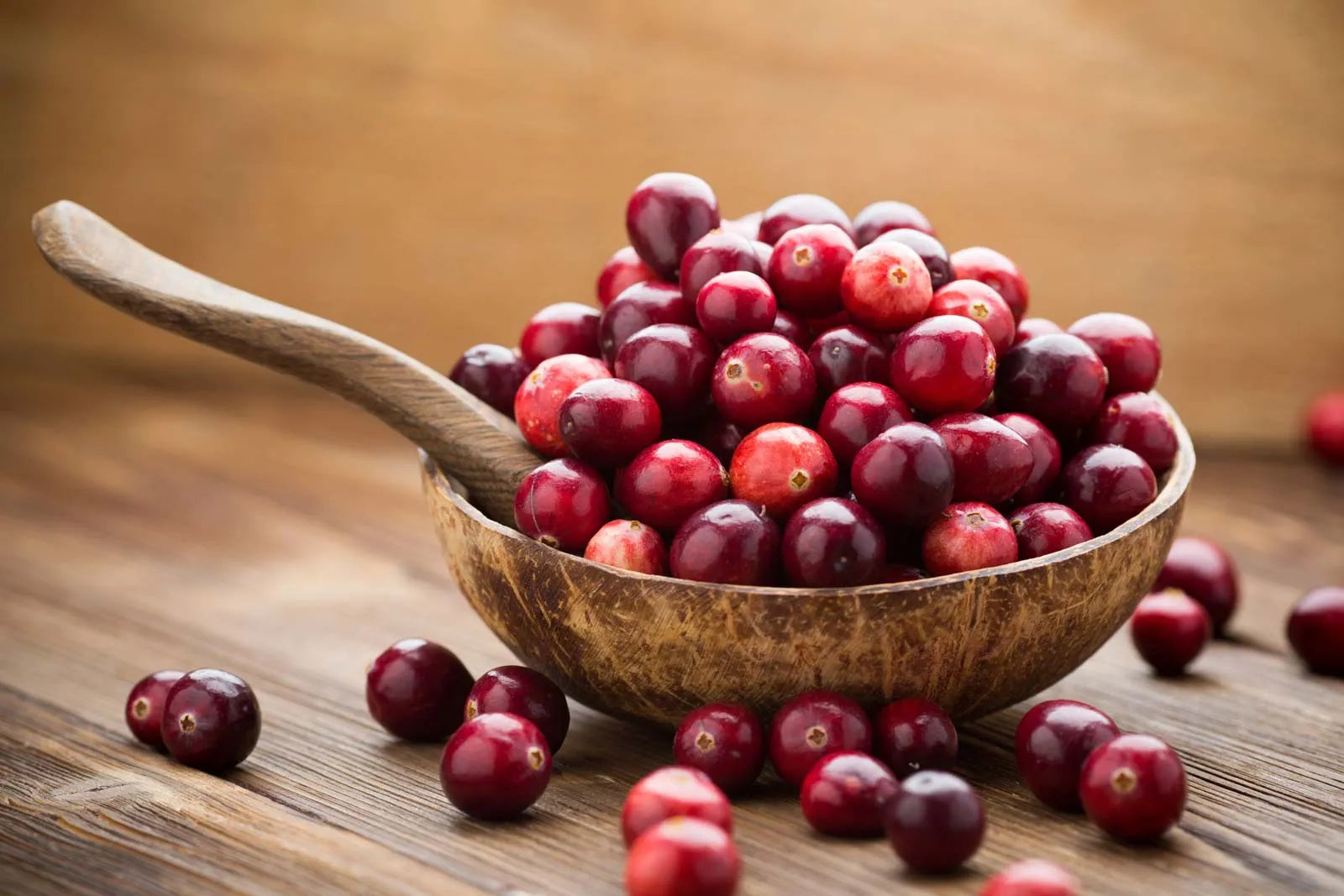 Harnessing the Power of Cranberries and Lactobacillus to Combat UTIs