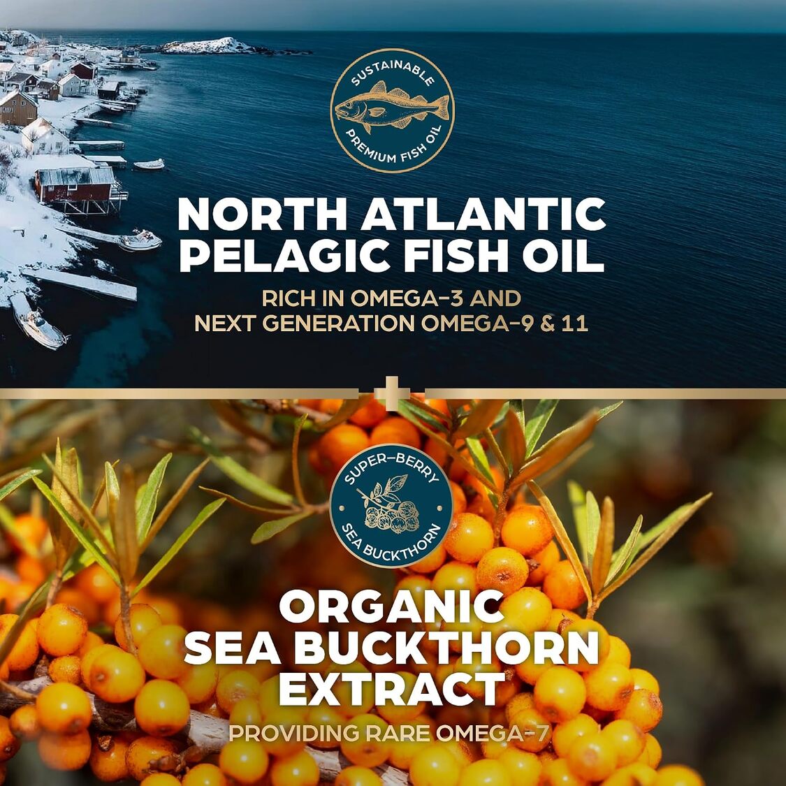 Ultra Omega Elixir | Omega 3–6–7–9–11